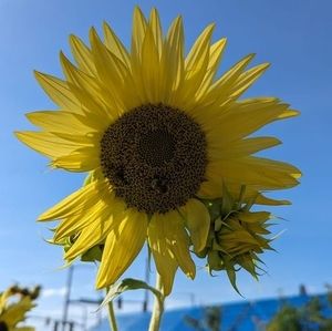 Meet your Posher, Mandi